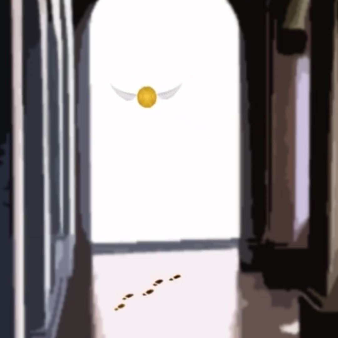 Fantastic Animals - Harry Potter After Affect Animation