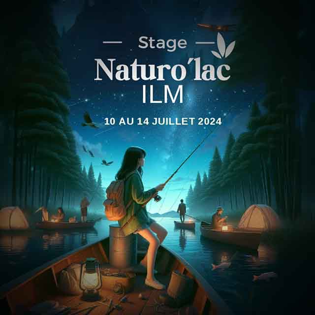 Flyers, Brochures, Affiches